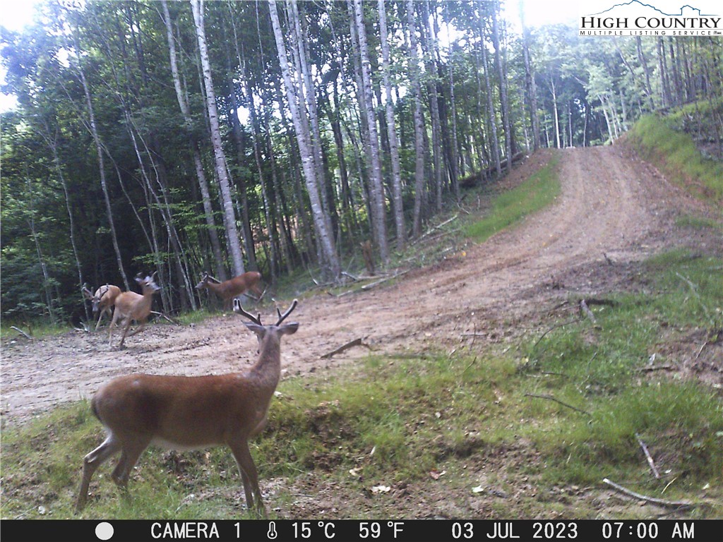 TBD Staggs Creek Road