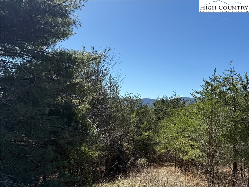 Lot 3 Alta Vista Lane