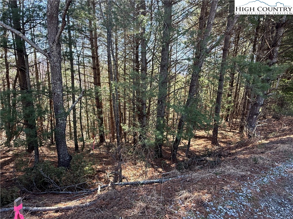 Lot 3 Alta Vista Lane