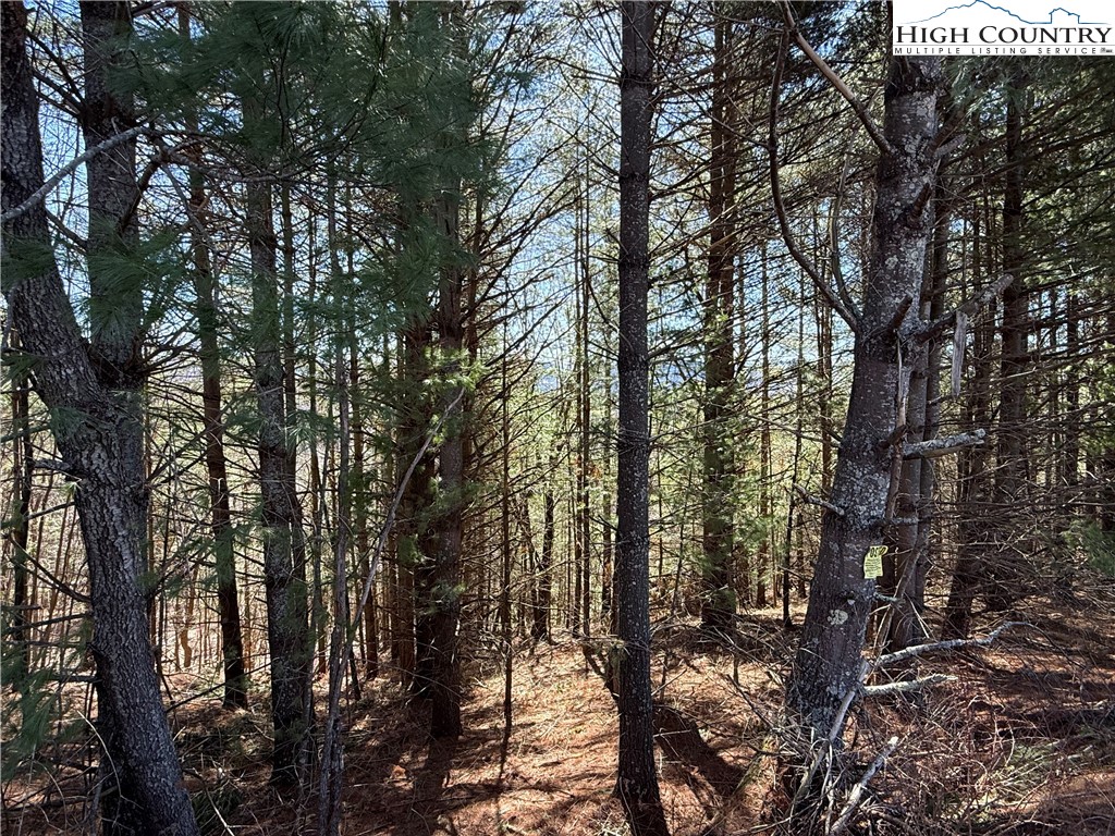 Lot 3 Alta Vista Lane