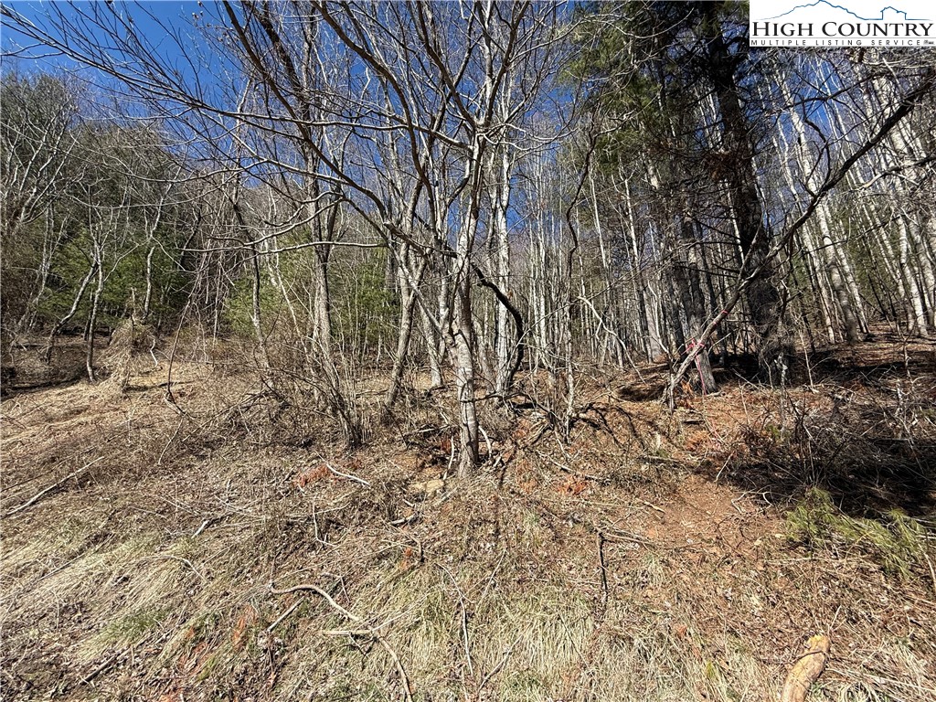 Lot 3 Alta Vista Lane