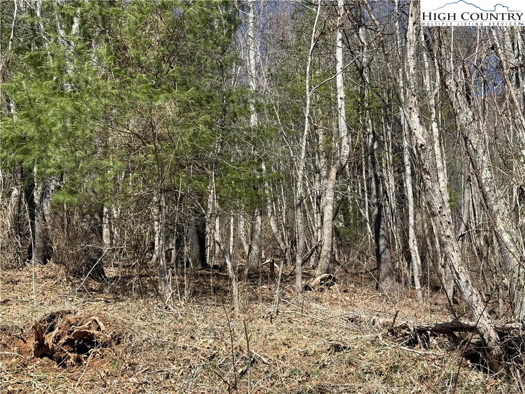 Lot 3 Alta Vista Lane