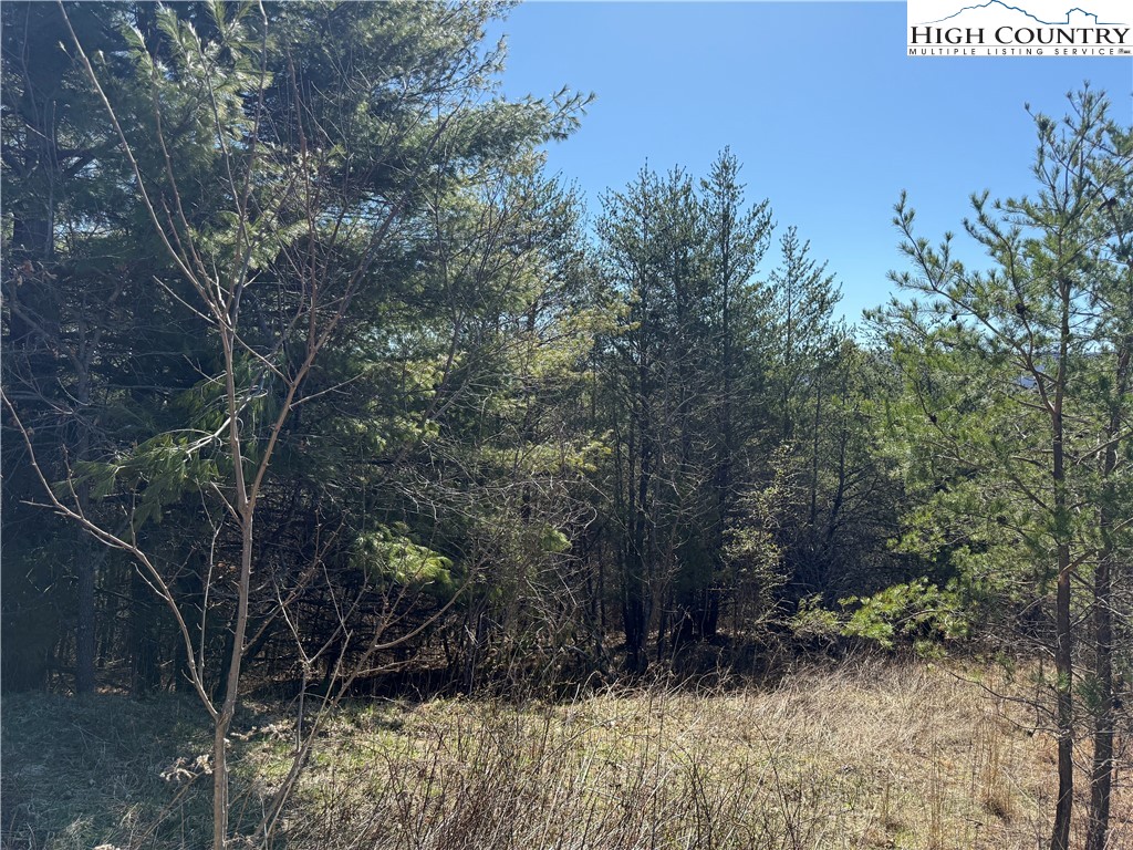 Lot 3 Alta Vista Lane