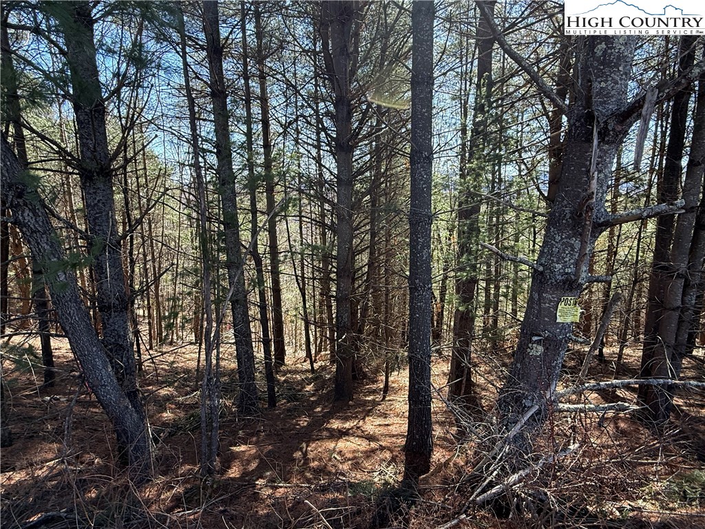 Lot 3 Alta Vista Lane