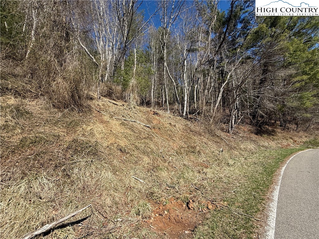 Lot 3 Alta Vista Lane