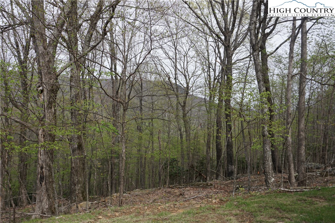 Lot 21 Fairway Ridge Drive