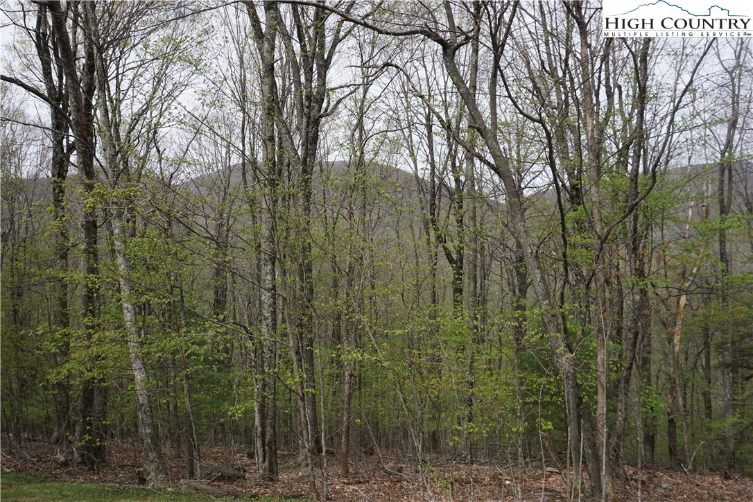 Lot 21 Fairway Ridge Drive