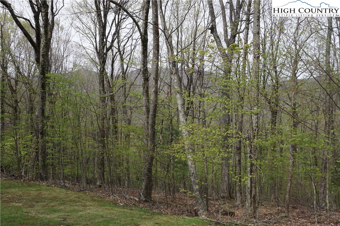 Lot 21 Fairway Ridge Drive