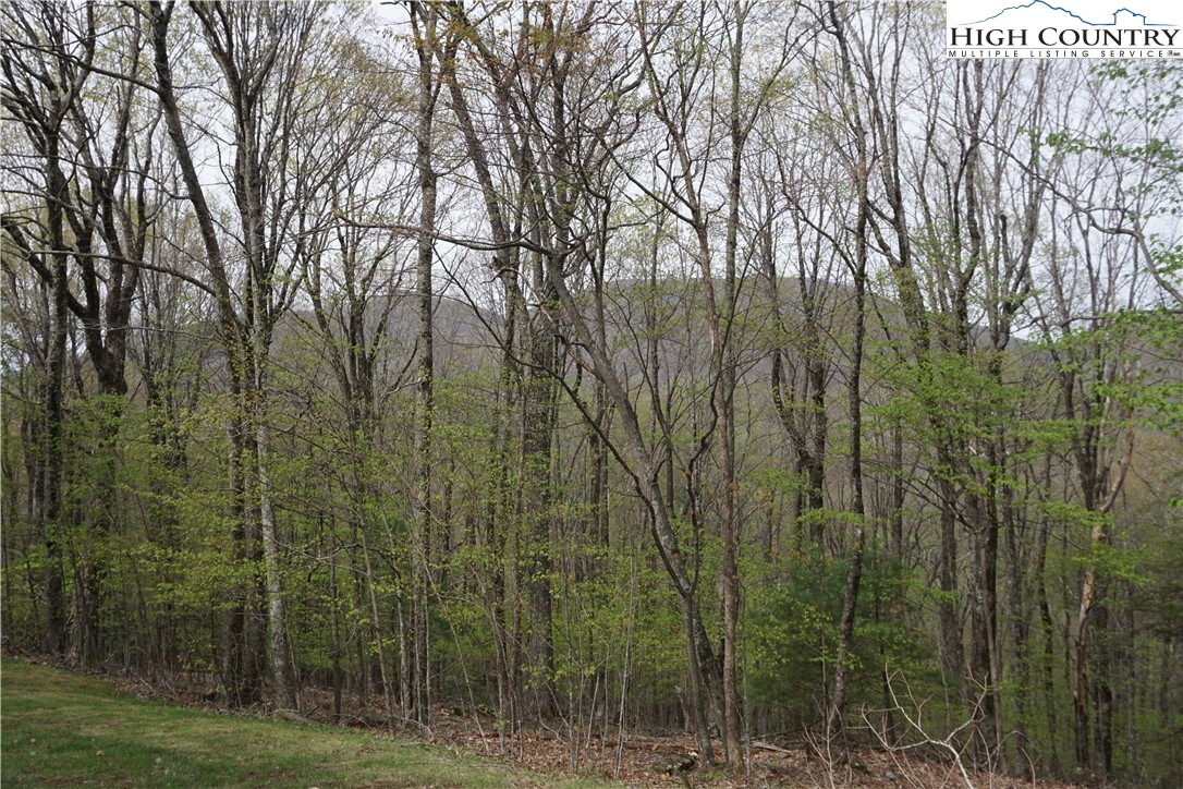 Lot 21 Fairway Ridge Drive