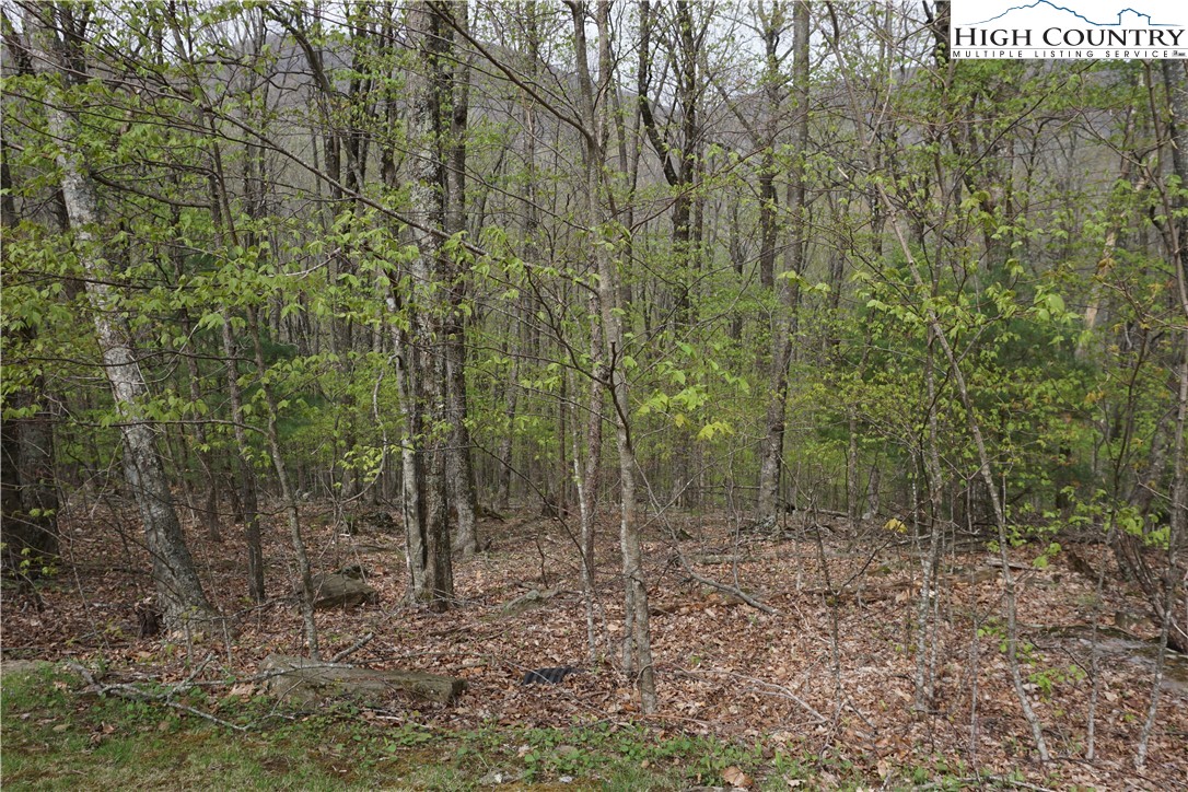 Lot 21 Fairway Ridge Drive