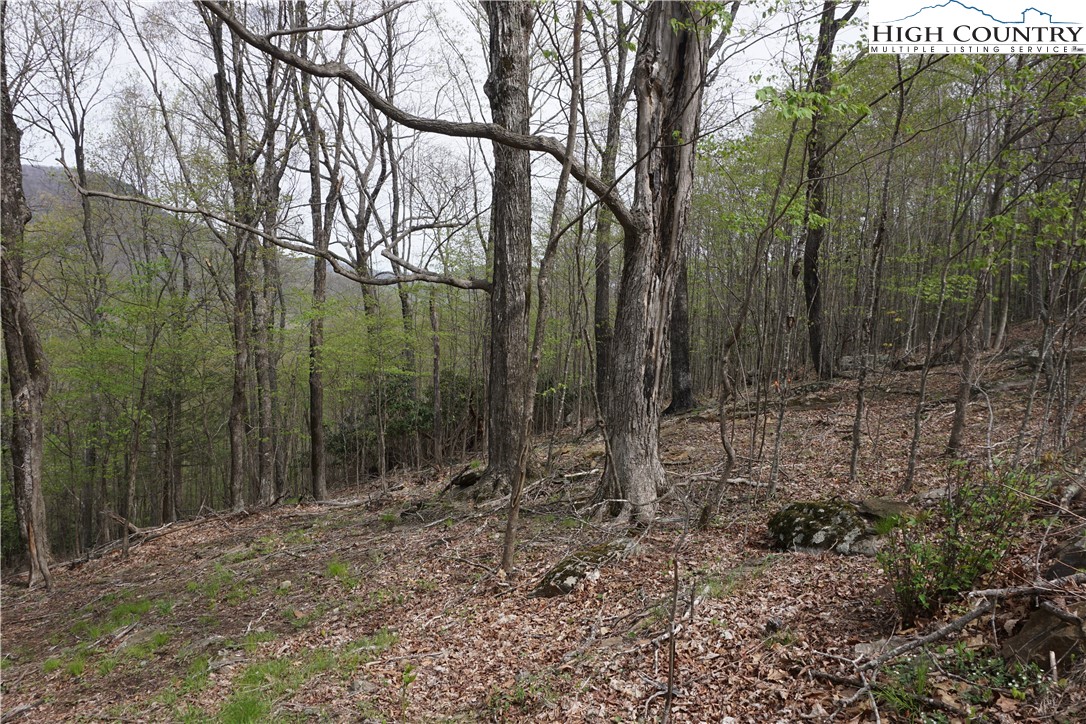 Lot 22 Fairway Ridge Drive