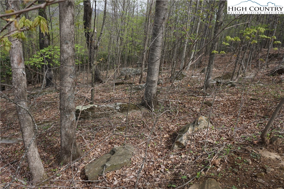 Lot 22 Fairway Ridge Drive