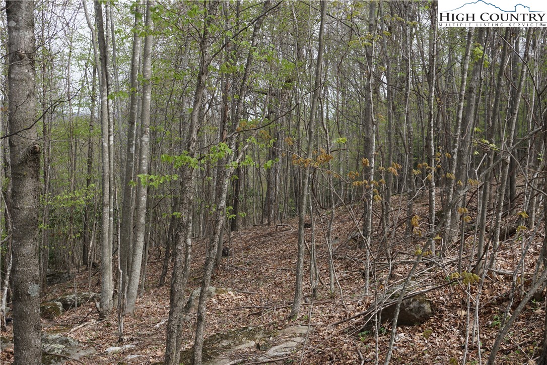 Lot 22 Fairway Ridge Drive