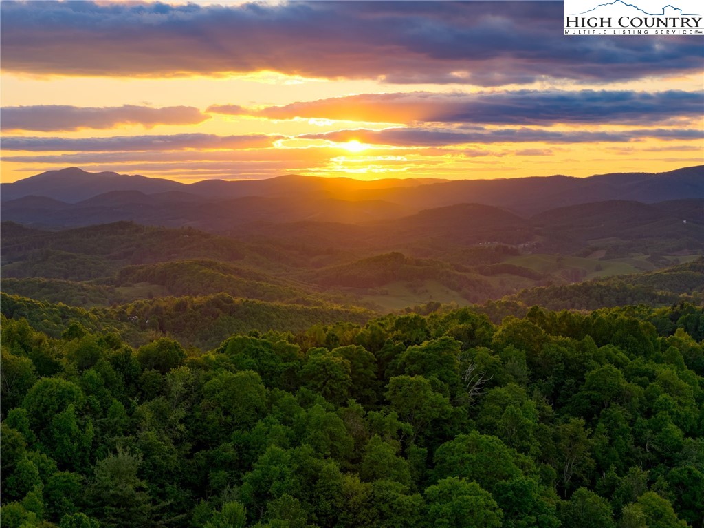 TBD Park Vista Drive