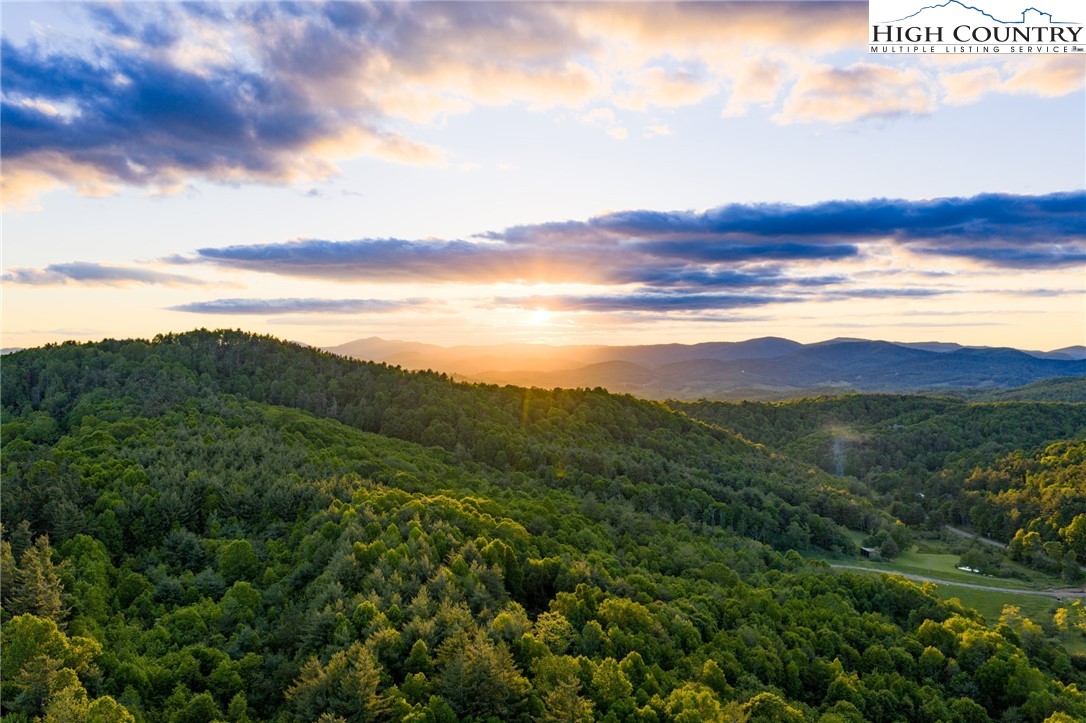 TBD Park Vista Drive