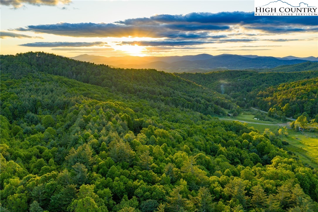 TBD Park Vista Drive