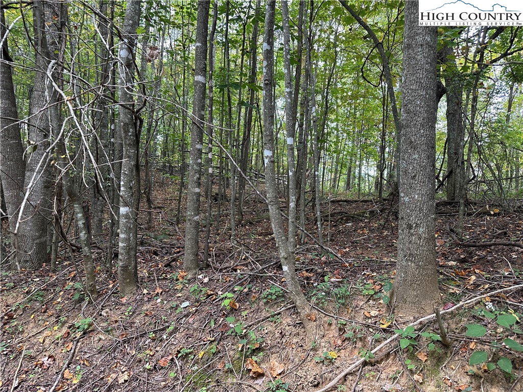 TBD Parsons Hill Road