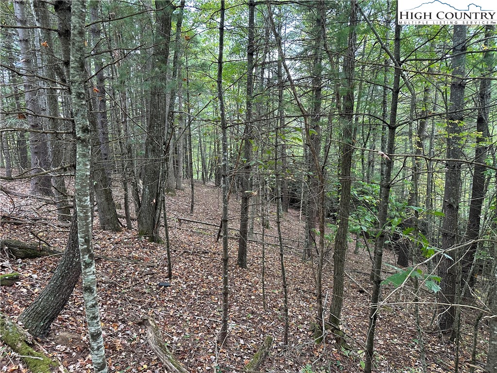 TBD Parsons Hill Road