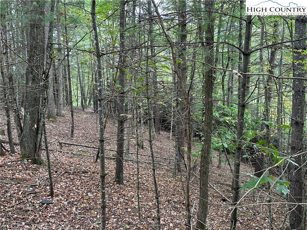 TBD Parsons Hill Road