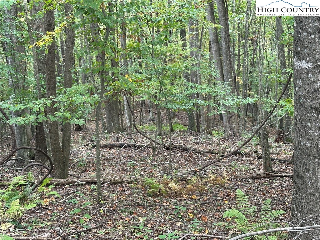 TBD Parsons Hill Road