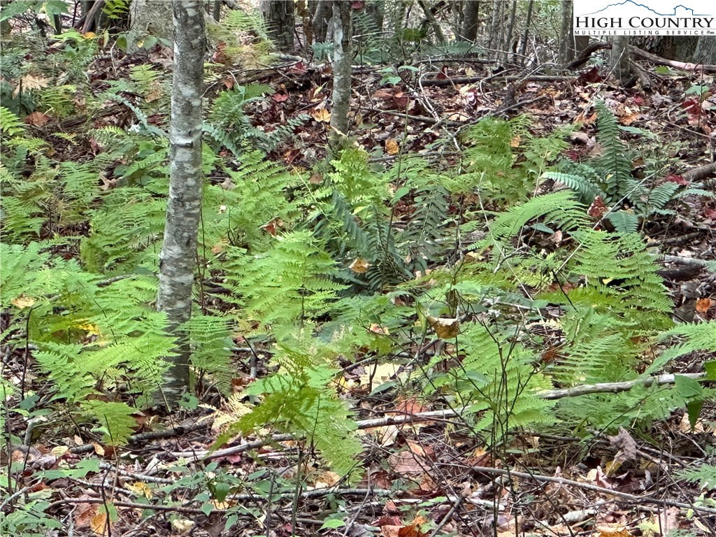 TBD Parsons Hill Road