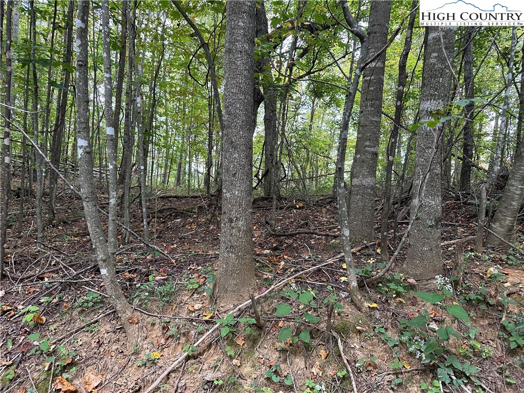 TBD Parsons Hill Road