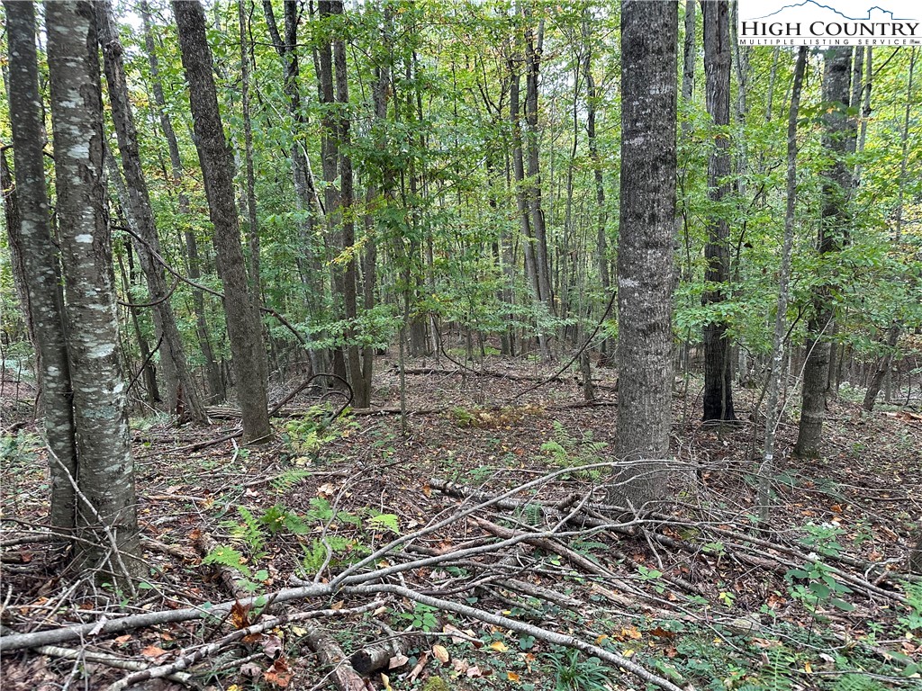 TBD Parsons Hill Road