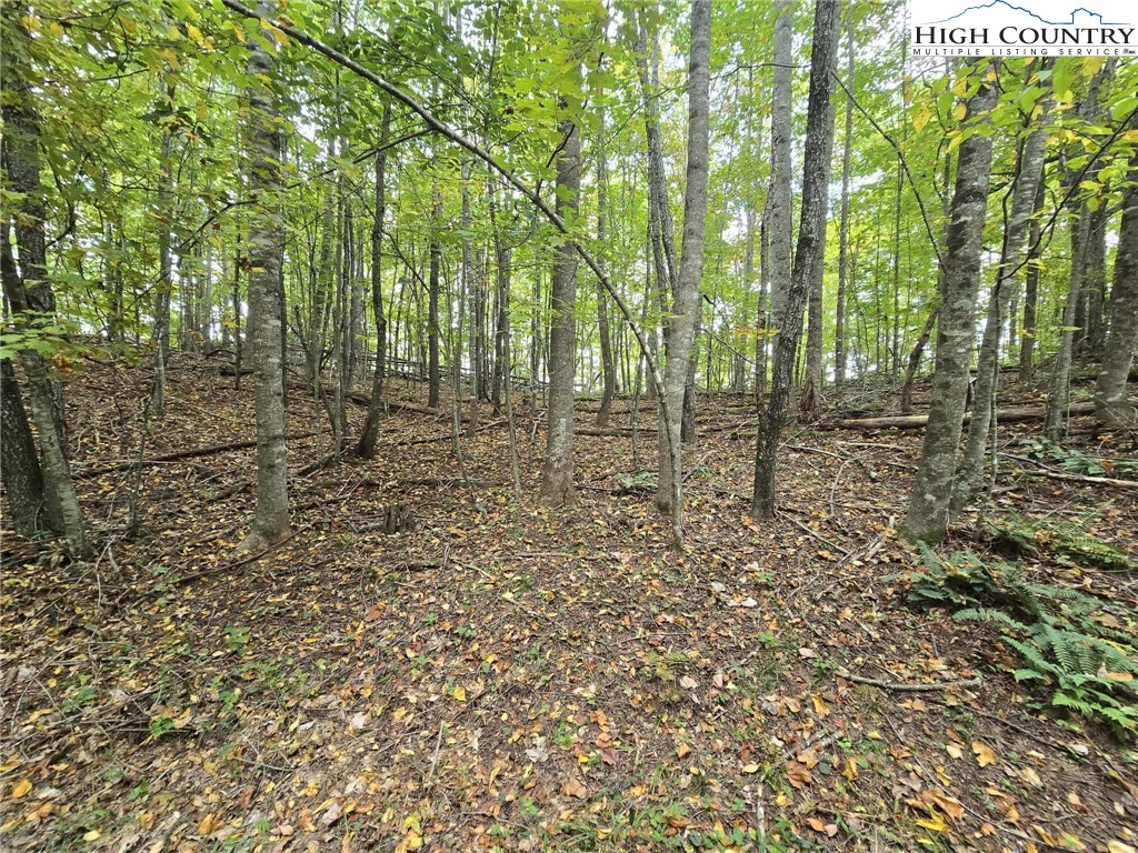 TBD Parsons Hill Road