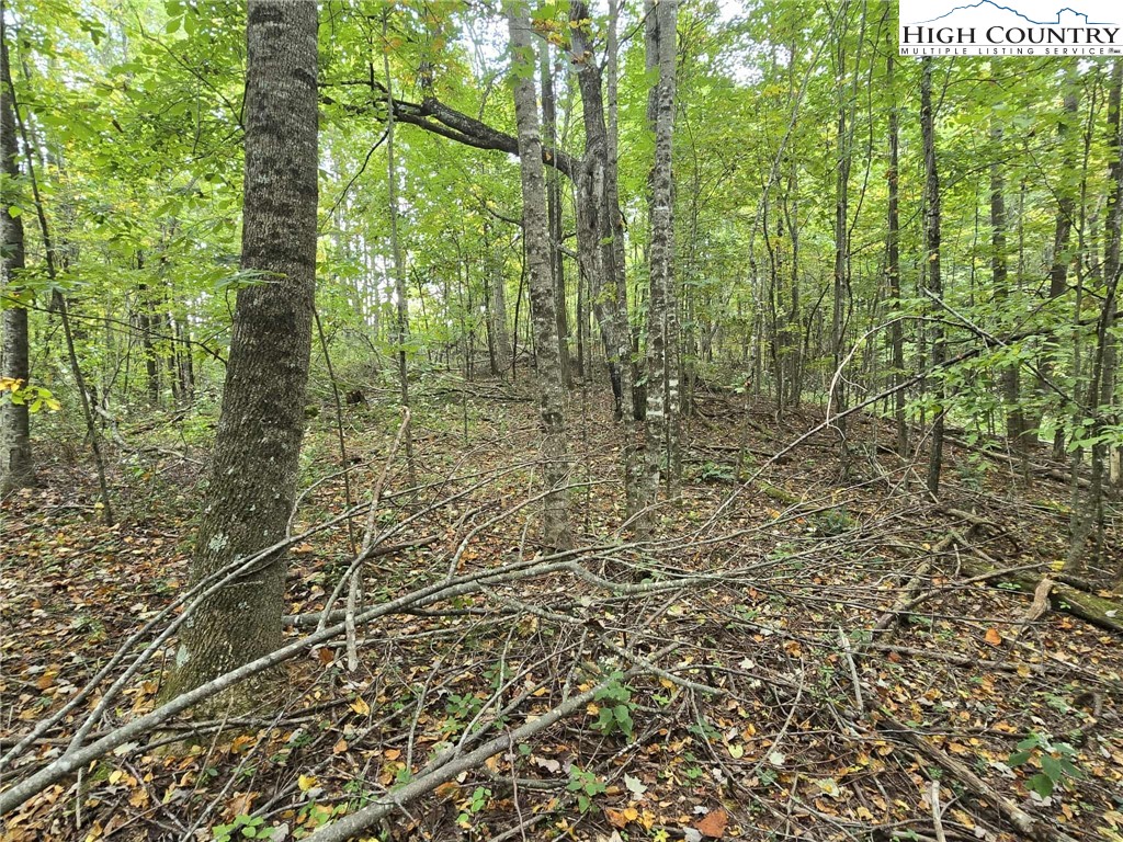 TBD Parsons Hill Road