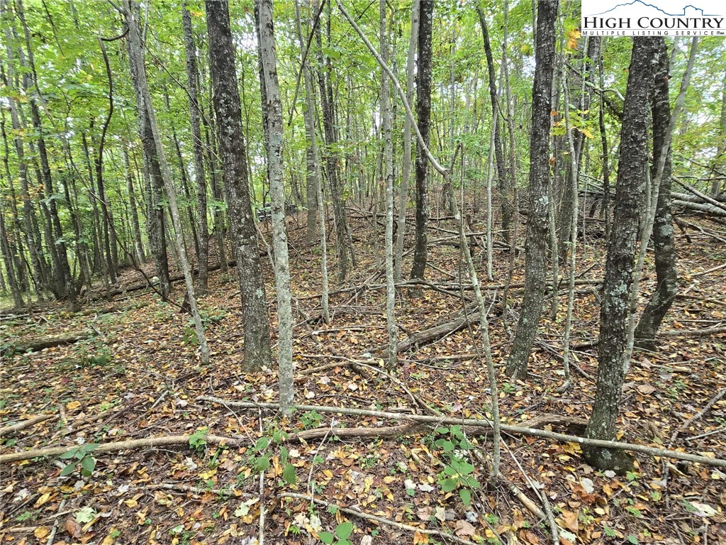 TBD Parsons Hill Road