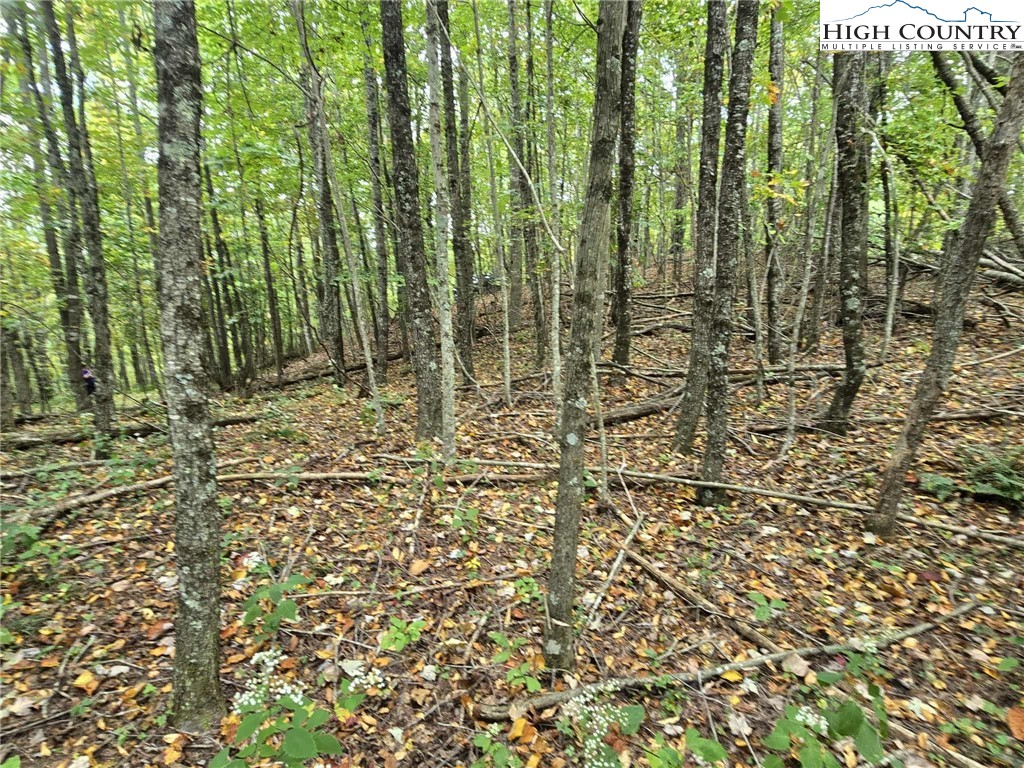 TBD Parsons Hill Road