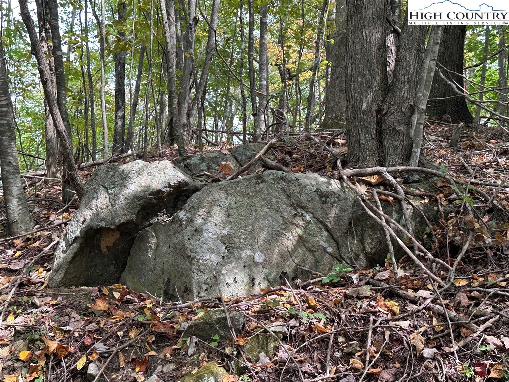 TBD Parsons Hill Road