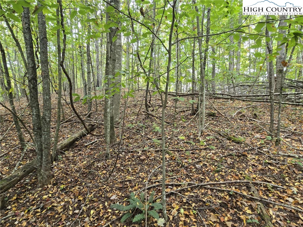 TBD Parsons Hill Road