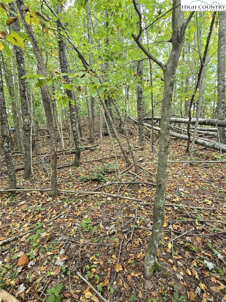 TBD Parsons Hill Road