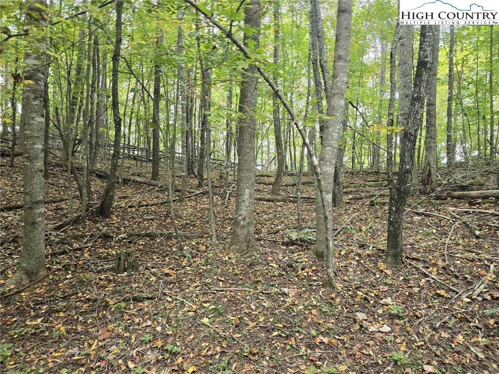 TBD Parsons Hill Road