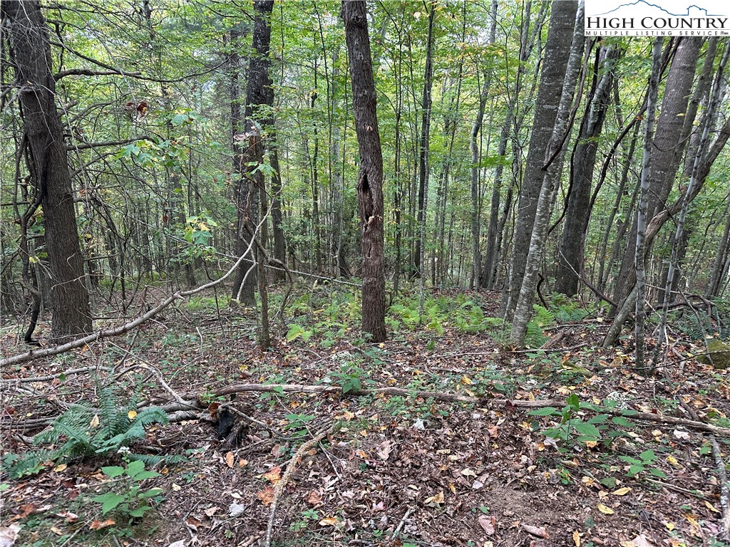 TBD Parsons Hill Road