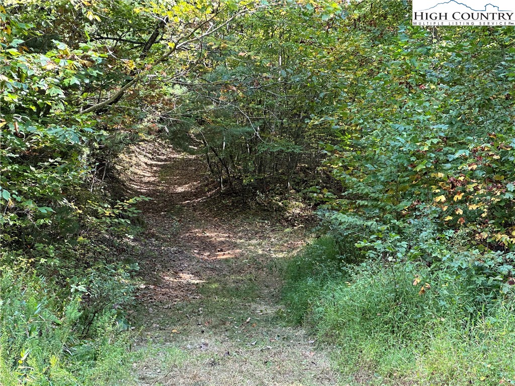 TBD Parsons Hill Road