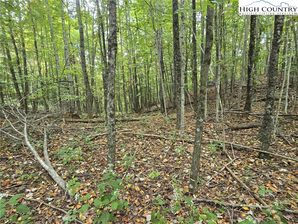 TBD Parsons Hill Road