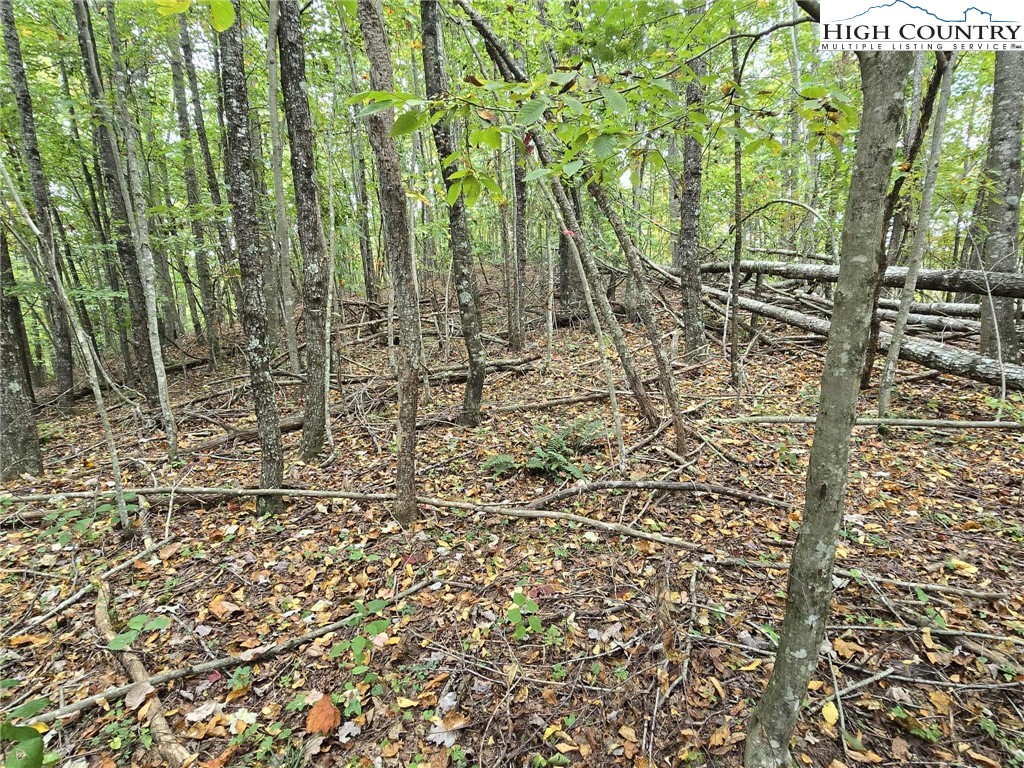 TBD Parsons Hill Road