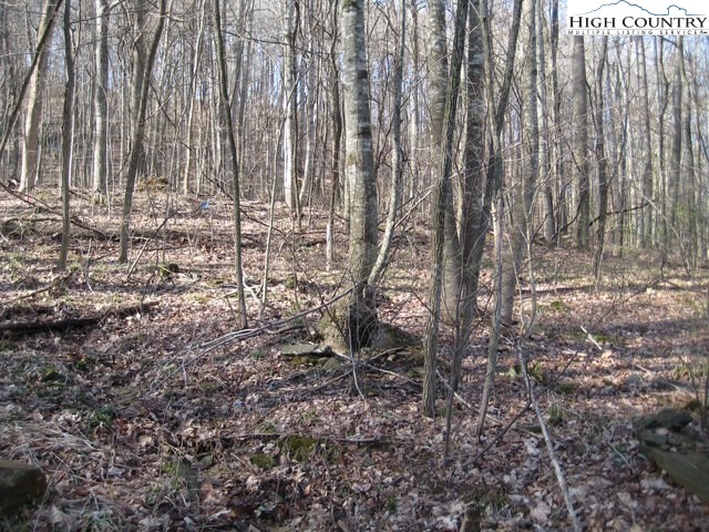 TBD Granite Ridge Drive