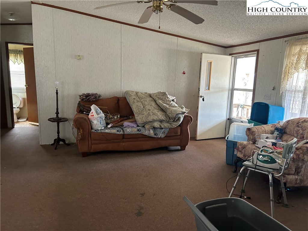 223 Poplar Lane