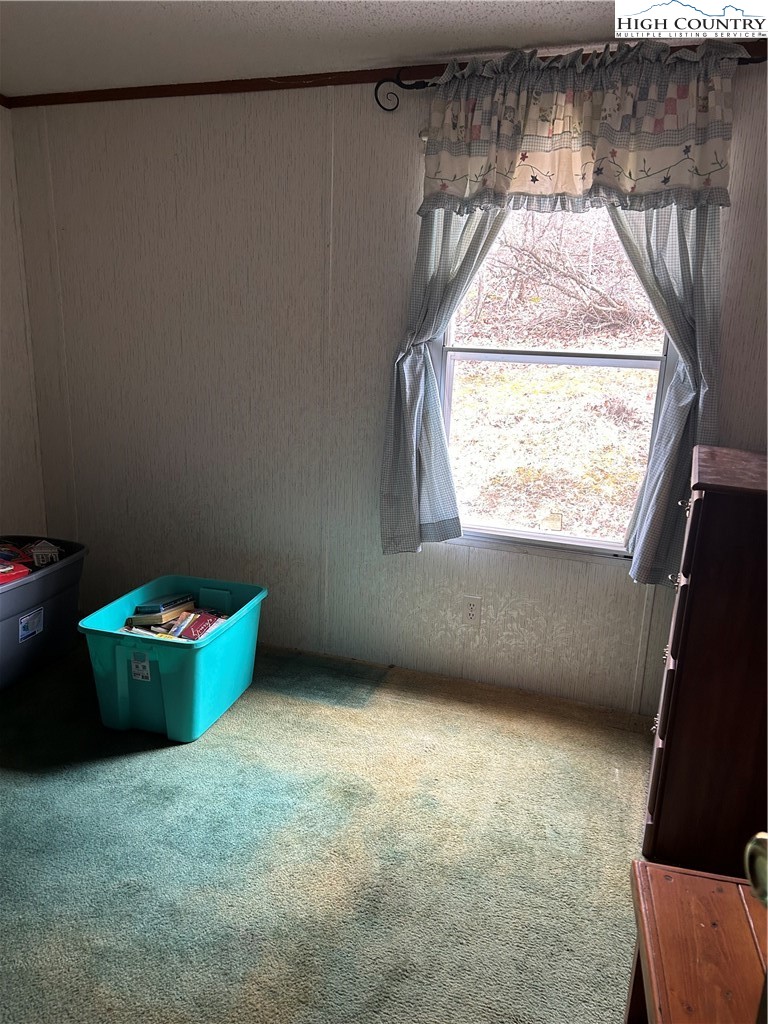 223 Poplar Lane