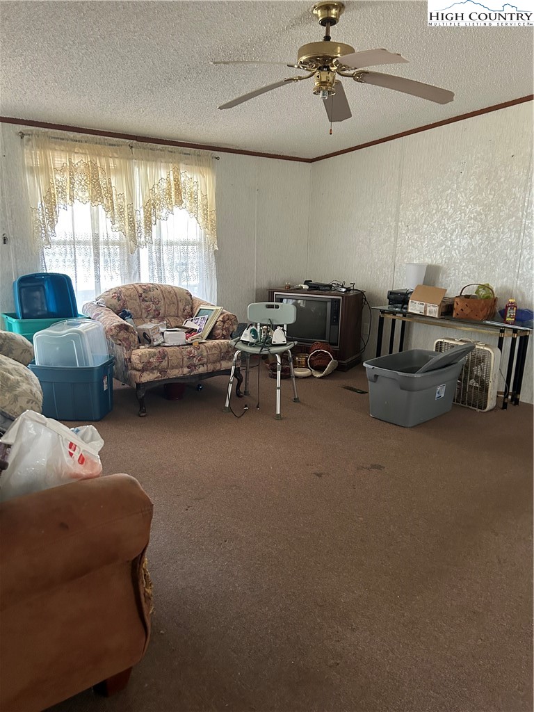 223 Poplar Lane