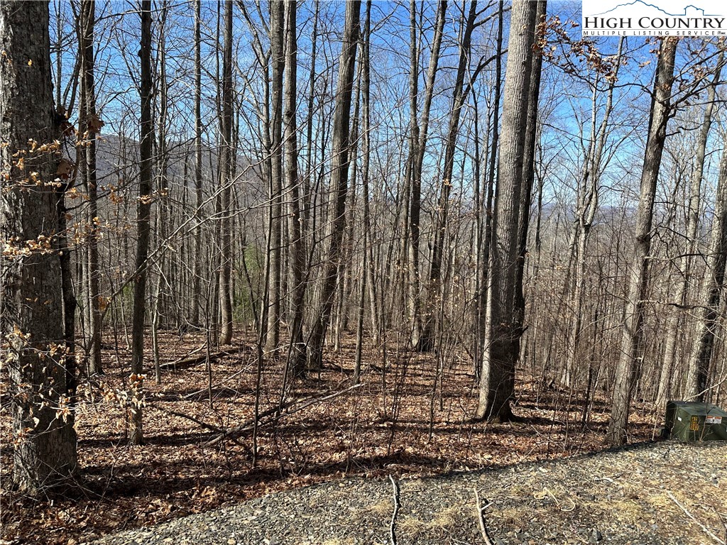 TBD Woodland Ridge