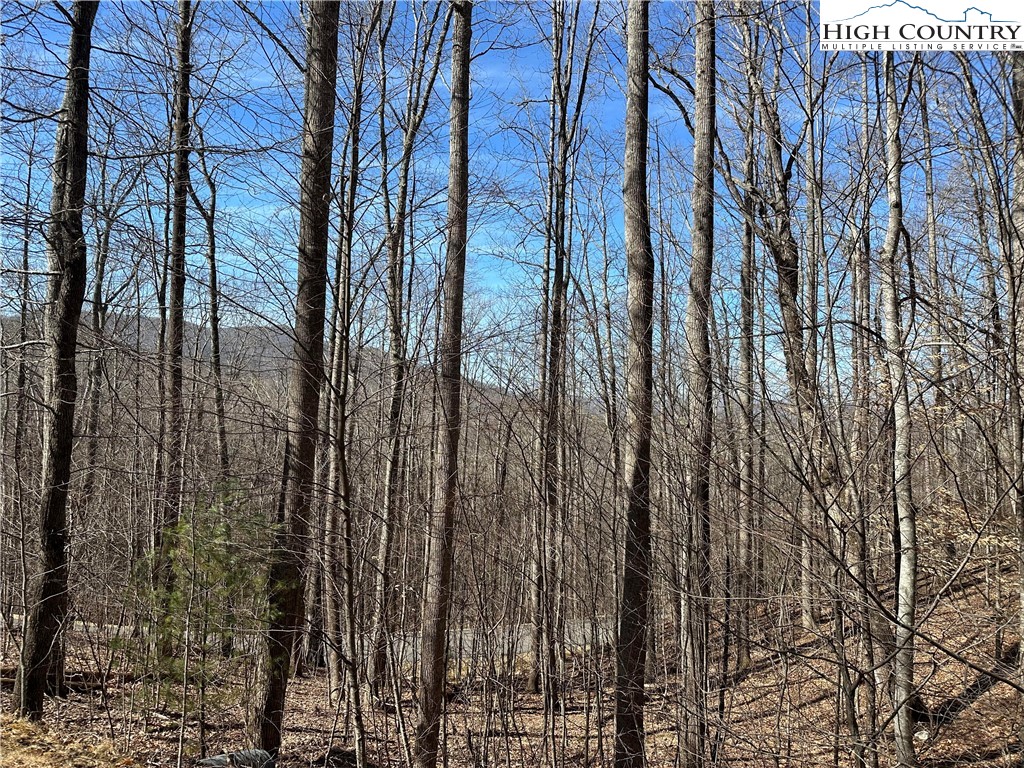 TBD Woodland Ridge