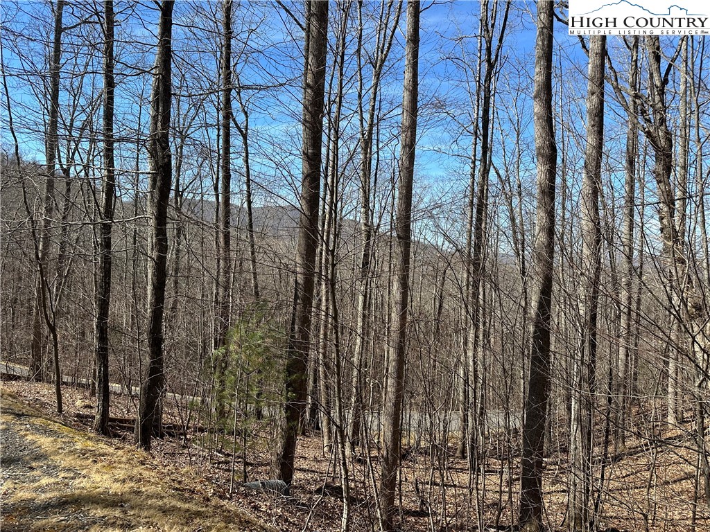 TBD Woodland Ridge