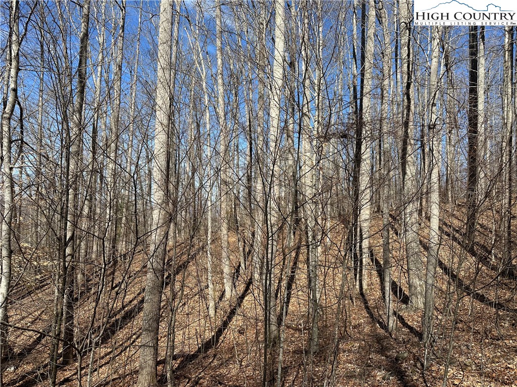 TBD Woodland Ridge