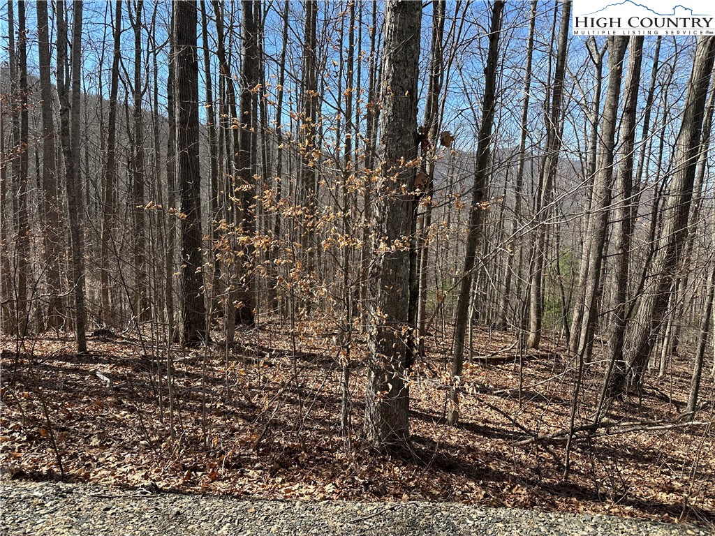 TBD Woodland Ridge