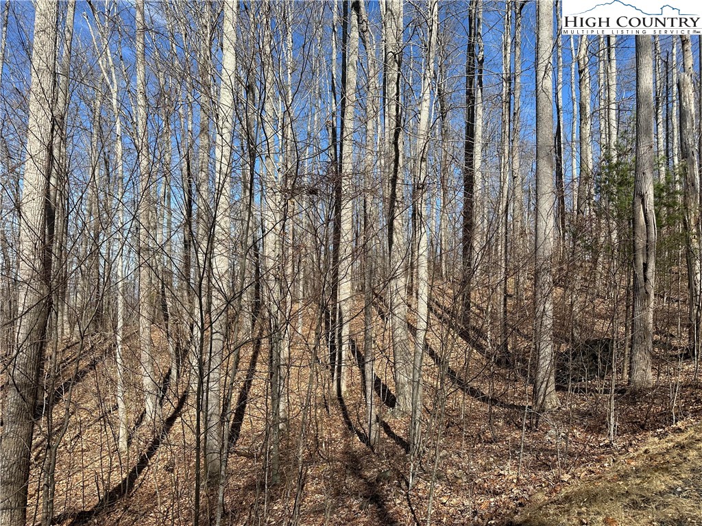 TBD Woodland Ridge