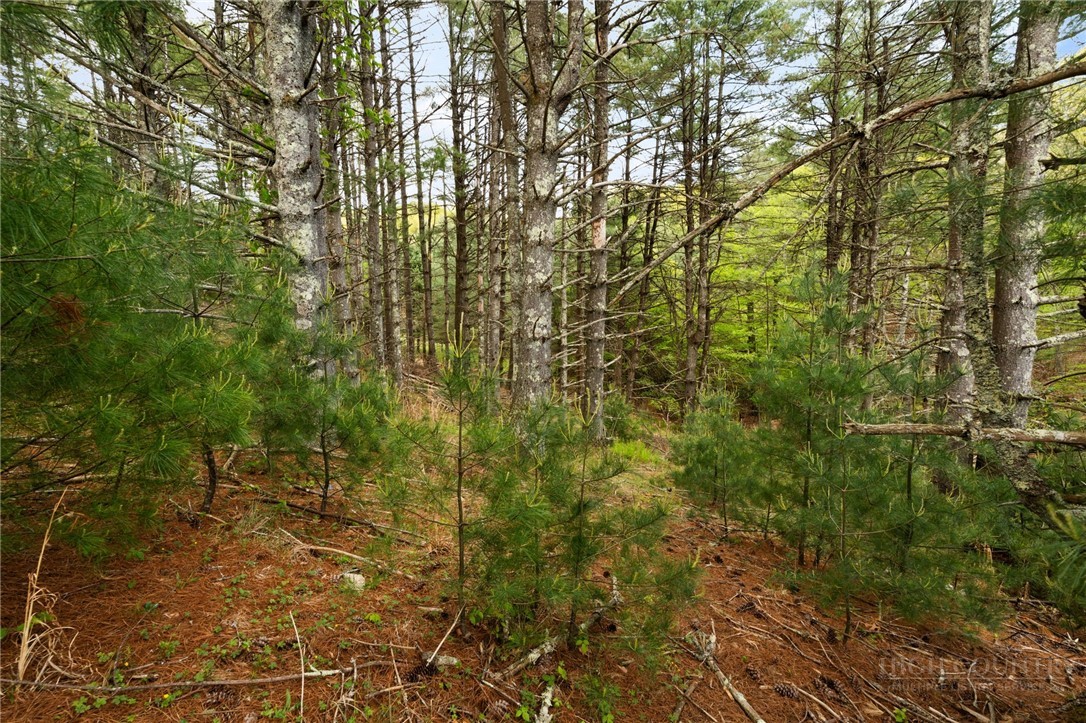 lot 14 Camp View Trail